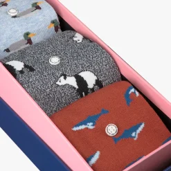 multi alfredo gonzales sokken animals box