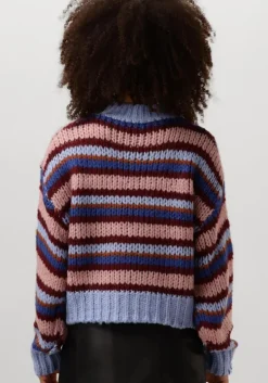 multi ydence trui knitted sweater meggie