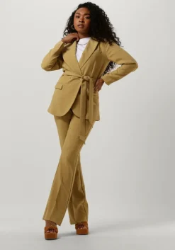 olijf aaiko blazer perize vis 333