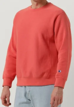 CHAMPION sweater crewneck sweatshirt><noscript><img width=