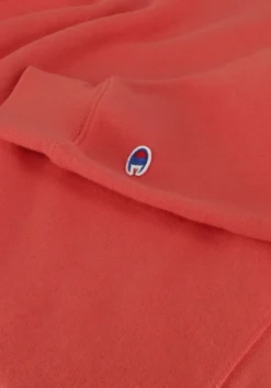 CHAMPION sweater crewneck sweatshirt><noscript><img width=