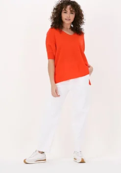 NOT SHY trui aimee>DAMES Truien & Vesten