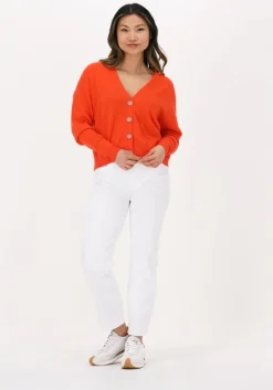 NOT SHY vest juana>DAMES Truien & Vesten