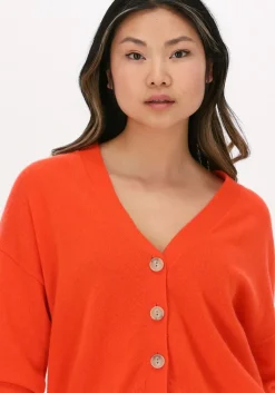 NOT SHY vest juana><noscript><img width=