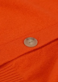 NOT SHY vest juana><noscript><img width=