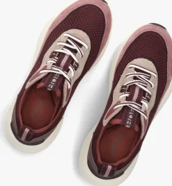 paarse the hoff brand lage sneakers traveler