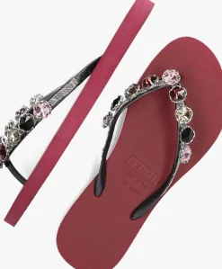 paarse uzurii teenslippers alegria