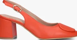 rode lina locchi slingbacks 010-150