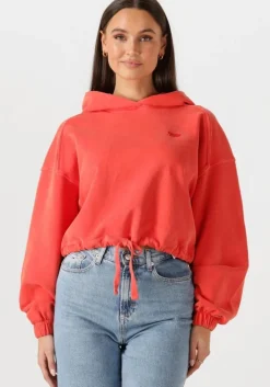 rode tommy jeans sweater tjw crp gmd script hoodie