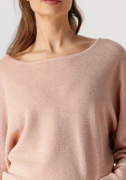 roze nukus top batwing pullover lurex