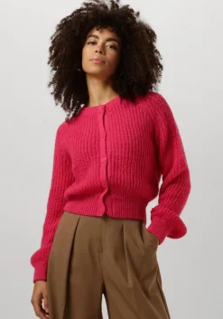 roze ydence vest cardigan lotta