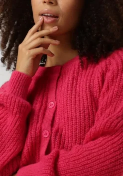 roze ydence vest cardigan lotta