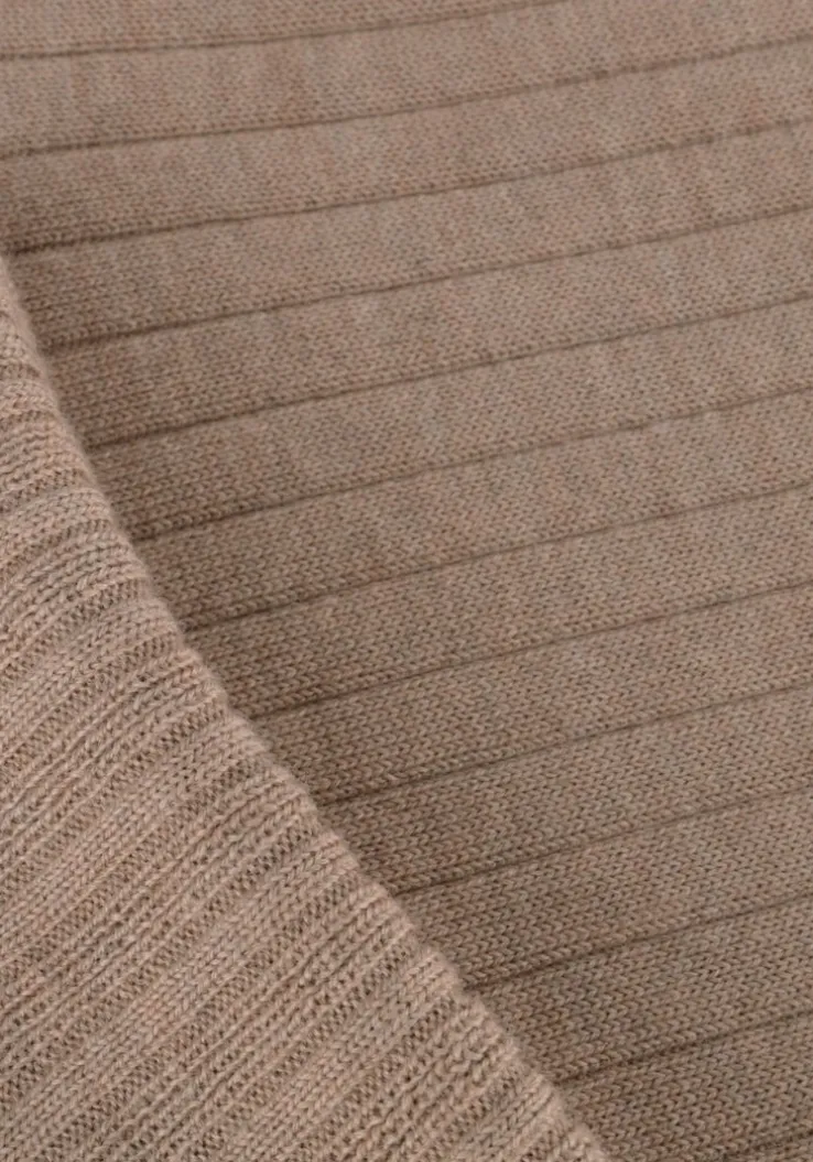 taupe bellamy coltrui lizzy