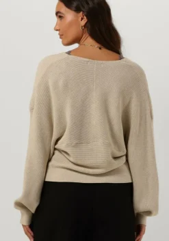 taupe rosemunde top babette silk top w/ lace