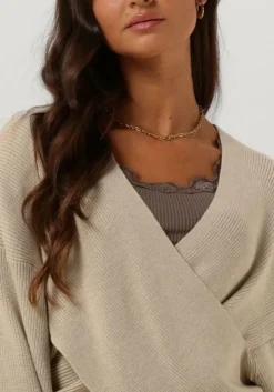 taupe rosemunde top babette silk top w/ lace