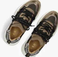 taupe tango lage sneakers alicia 2
