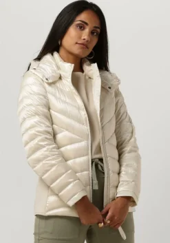 witte beaumont jack devi