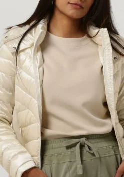 witte beaumont jack devi