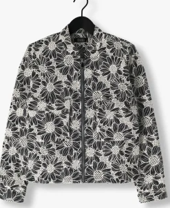 IBANA te jack jaidy><noscript><img width=