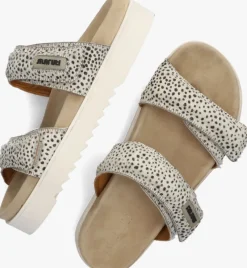 witte maruti slippers brooke