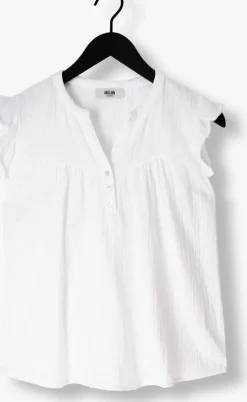 MOLIIN te top elin><noscript><img width=