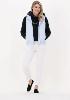 witte tommy hilfiger chino hailey slim co tencil chino pant