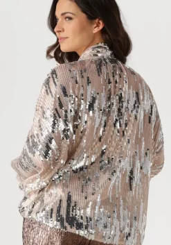 zilveren amaya amsterdam blouses glitter blouse