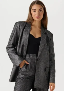 zilveren ibana blazer jolsy