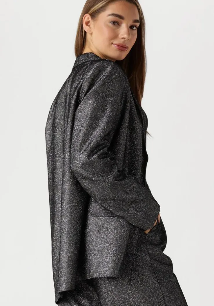 zilveren ibana blazer jolsy