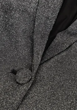 zilveren ibana blazer jolsy