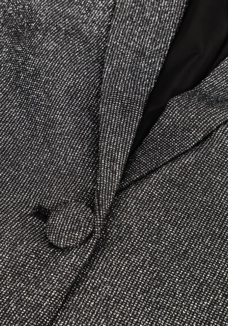 zilveren ibana blazer jolsy