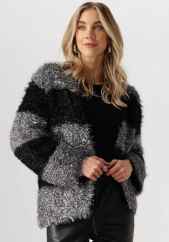 zilveren nukus vest haily cardigan lurex
