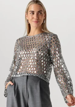 zilveren object top objgitte lo l/s top 136