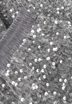 zilveren summum broeken pants sequins velour