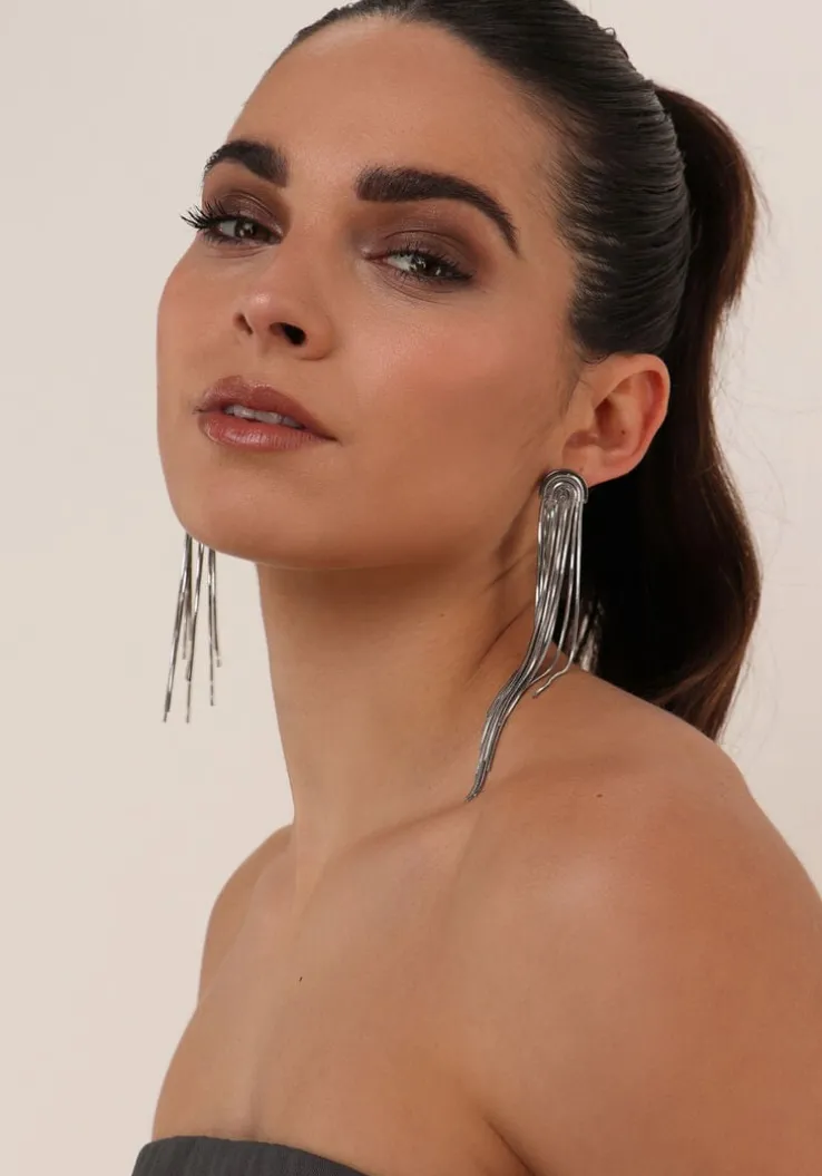 zilverkleurig notre-v oorbellen earring long