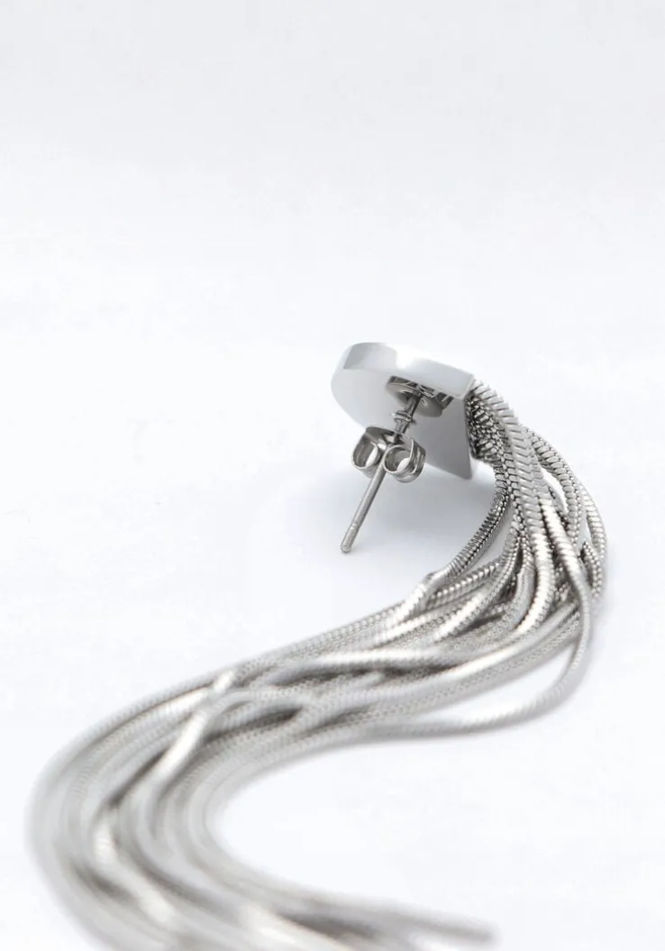 zilverkleurig notre-v oorbellen earring long