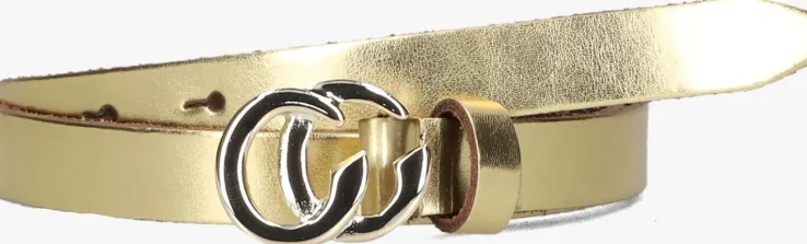 zilverkleurig notre-v riem 4301