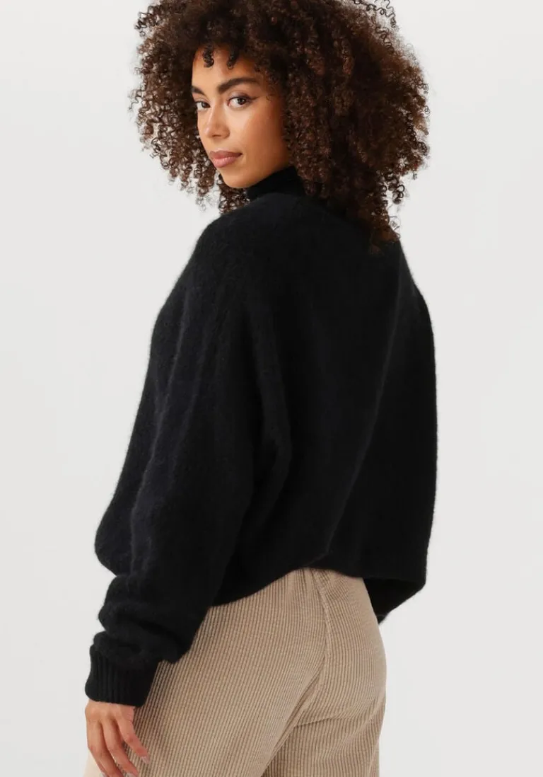 AMERICAN VINTAGE e sweater vitow>DAMES Truien & Vesten