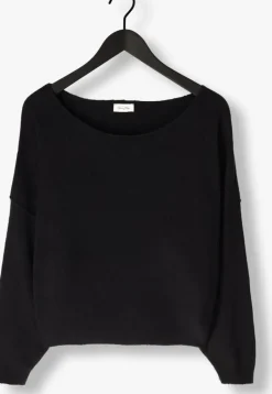 AMERICAN VINTAGE e trui damsville><noscript><img width=