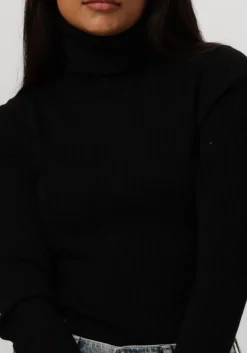 BELLAMY e coltrui lizzy><noscript><img width=