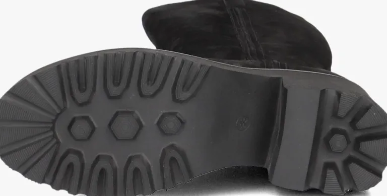 BLASZ e hoge laarzen evs-5014>DAMES Laarzen