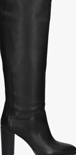 BLASZ e hoge laarzen 140>DAMES Laarzen