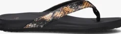 BLASZ e teenslippers bella 2402>DAMES Slippers