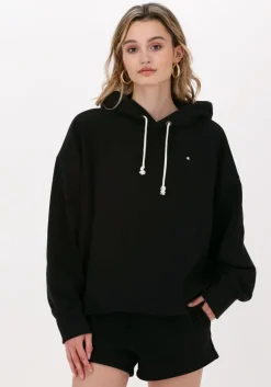 CHAMPION e trui hooded sweatshirt dms plain>DAMES Truien & Vesten|Truien & Vesten