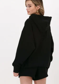 CHAMPION e trui hooded sweatshirt dms plain><noscript><img width=