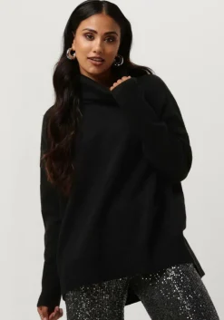 CO'COUTURE e co'couture coltrui maja roll neck>DAMES Truien & Vesten