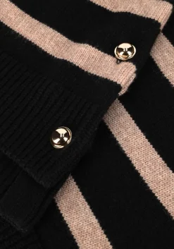 CO'COUTURE e co'couture truien/vesten maja button stripe><noscript><img width=