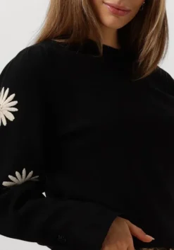 FABIENNE CHAPOT e trui biba pullover><noscript><img width=