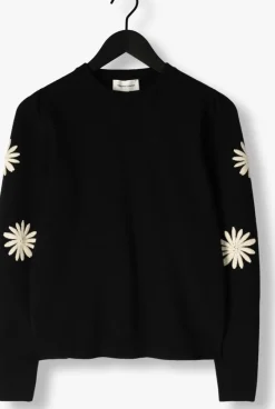 FABIENNE CHAPOT e trui biba pullover><noscript><img width=