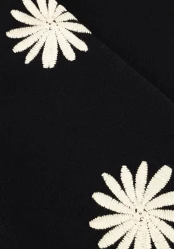 FABIENNE CHAPOT e trui biba pullover><noscript><img width=